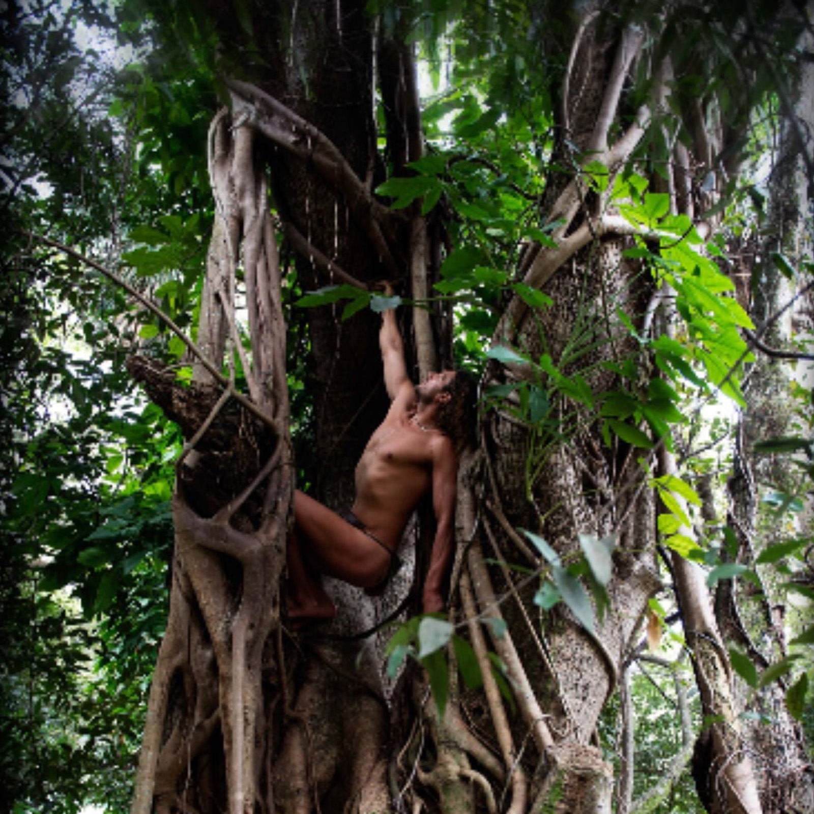 Jungles of depth 